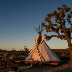Collection image for: Tipis