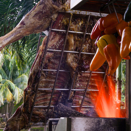 Tagwood BBQ 06SS Argentine Santa Maria Wood Fire & Charcoal Gaucho Grill