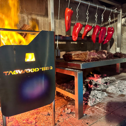 Tagwood BBQ 09SS Insert Style Argentine Santa Maria Wood Fire & Charcoal Gaucho Built in Grill