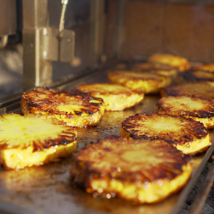 Tagwood BBQ Interchangeable Griddle for BBQ03SS/05SS | BBQ58SS