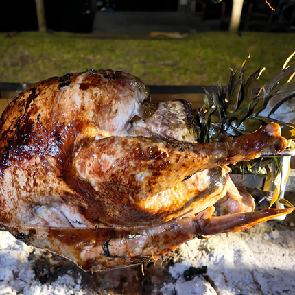 Tagwood BBQ Pro Stainless Steel Rotisserie Kit | BBQ50SSPRO