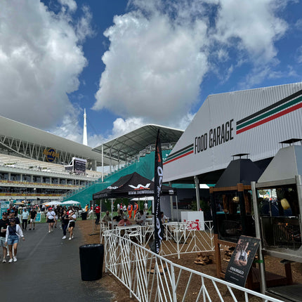 Tagwood BBQ 02SS Argentine Santa Maria Wood Fire & Charcoal Gaucho Grill all Stainless Steel PRE-ORDER