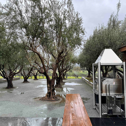 Tagwood BBQ 02SS Argentine Santa Maria Wood Fire & Charcoal Gaucho Grill all Stainless Steel PRE-ORDER