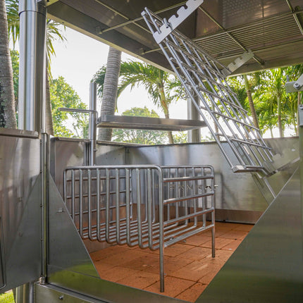 Tagwood BBQ 12SS Argentine Santa Maria Wood Fire & Charcoal Gaucho Grill