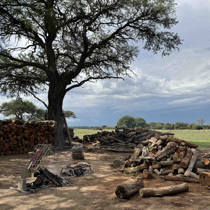 Tagwood BBQ 93SS Portable Fixed Grill