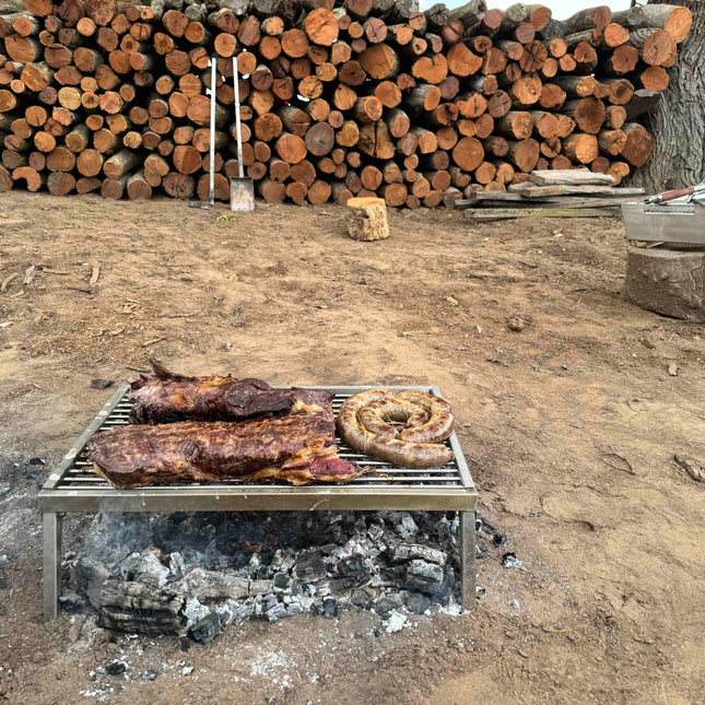 Tagwood BBQ 93SS Portable Fixed Grill