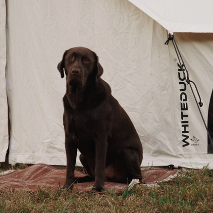 White Duck Outdoors 16.5' Avalon Bell Tent