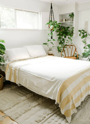 3 Panel Dotted Cotton Blanket
