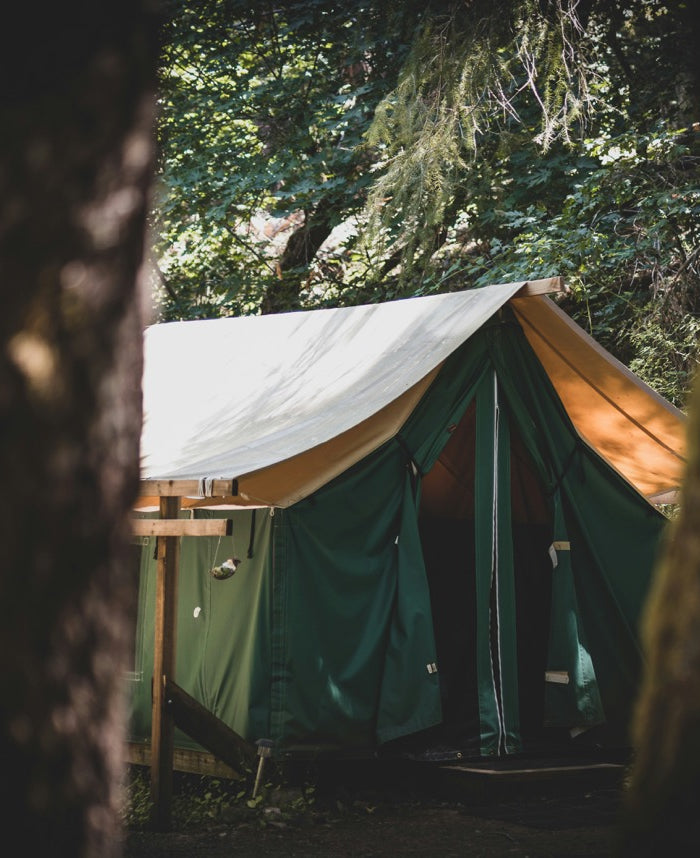 <h1>Your safari escape awaits</h1>